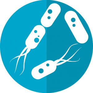 bacteria-icon-2316230_960_720