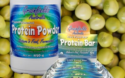 Protein and Why We Need it
