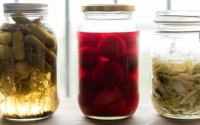 The Science Based Benefits of Fermented Plant Foods