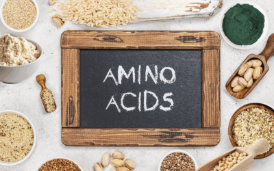 Amino Acids – Why We Need Them