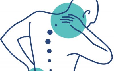 The Interesting Connection Between Chiropractors and Gut Health