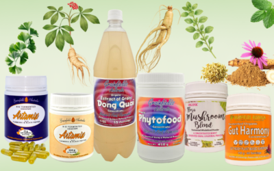 Highlighting Herbs as Functional Food Ingredients